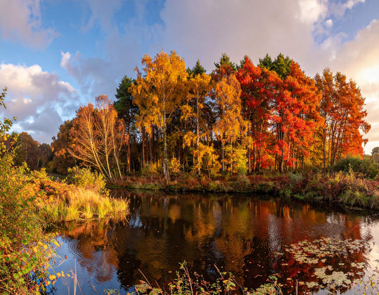 Autumn Reflections – Late September Glow